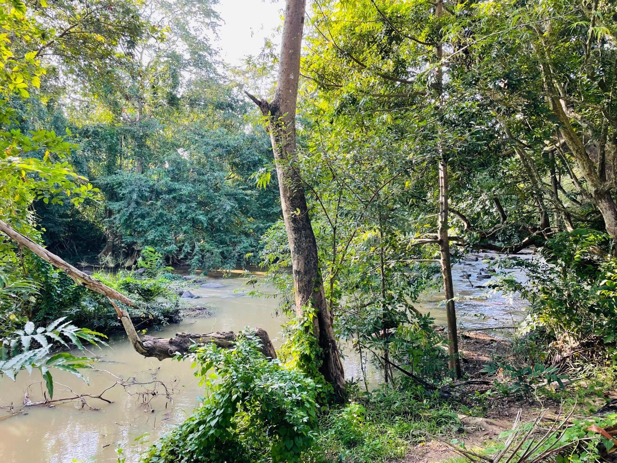 Yala Safari River View Hotel Tissamaharama Exterior foto