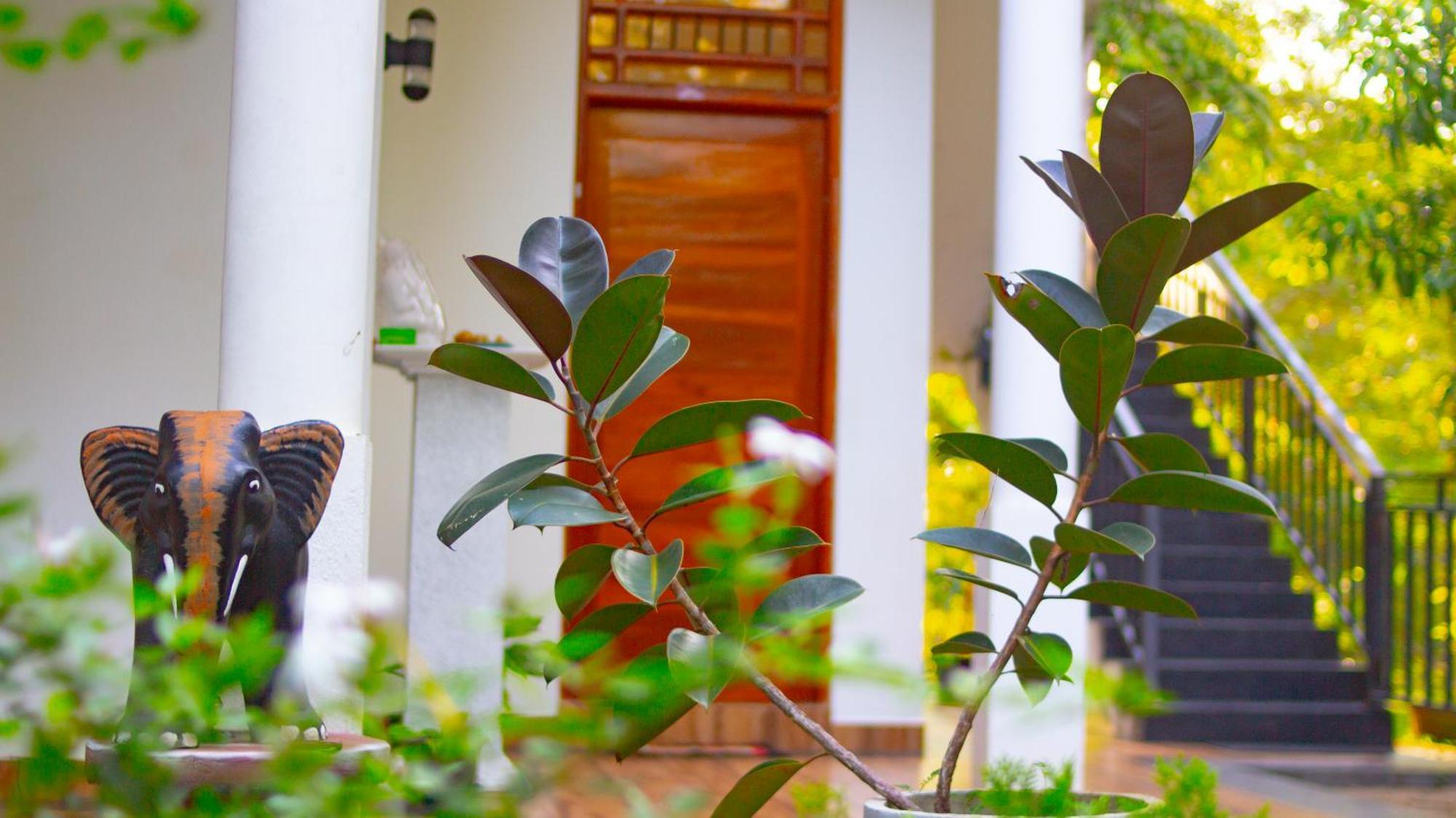 Yala Safari River View Hotel Tissamaharama Exterior foto